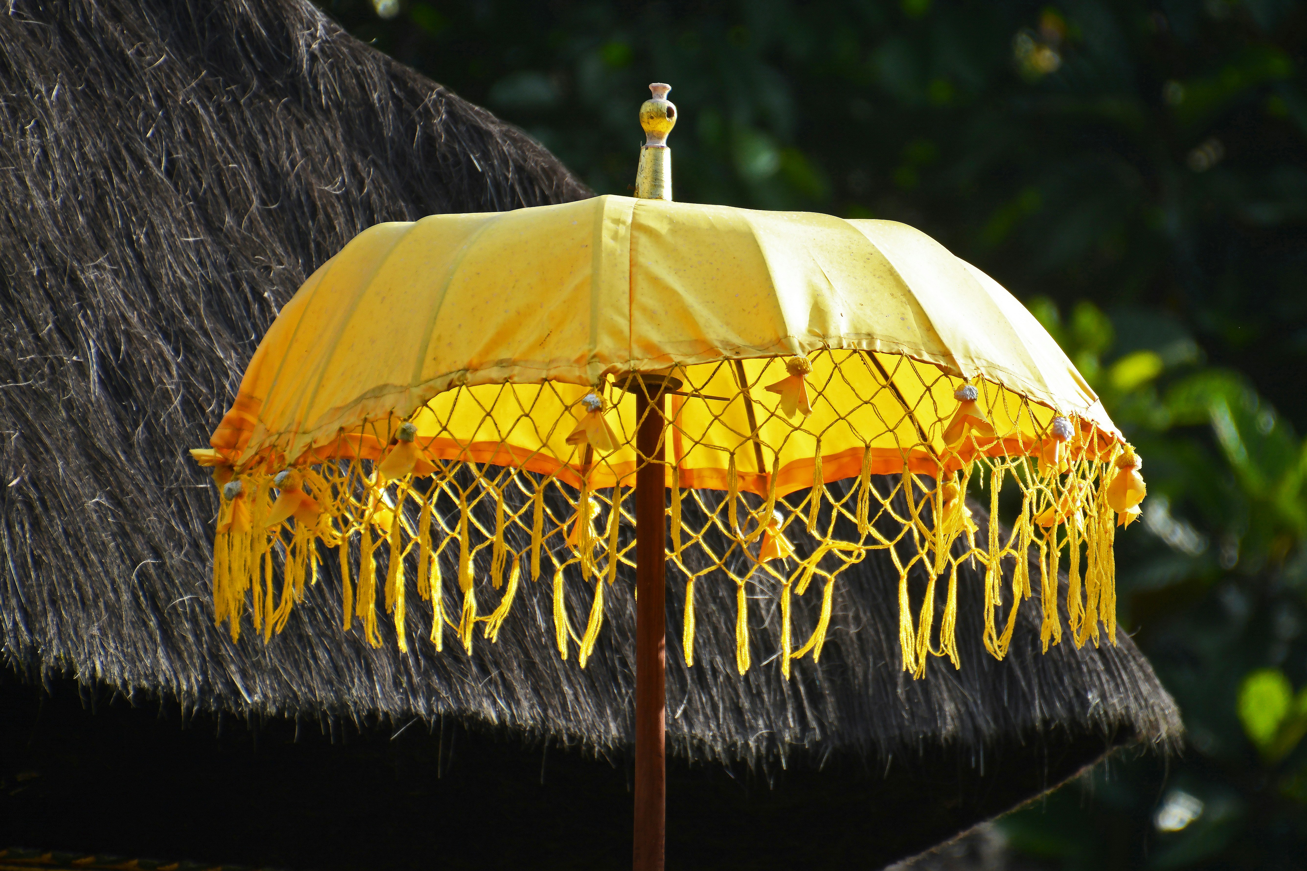 yellow umbrella with green leaves